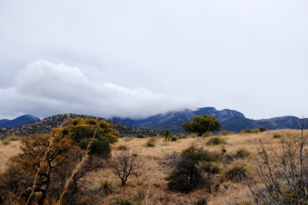 Rain clouds over Mt. Wrightson Wilderness.