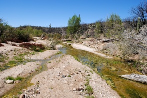 Low water of Rincon Creek.