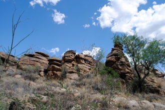 Alien rock spires in the valley.
